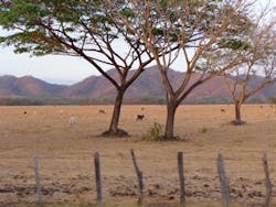 1654812391334 2 1654812391334 2