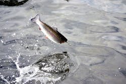 1654812400605 0217 Piperehab1 1654812400605 0217 Piperehab1