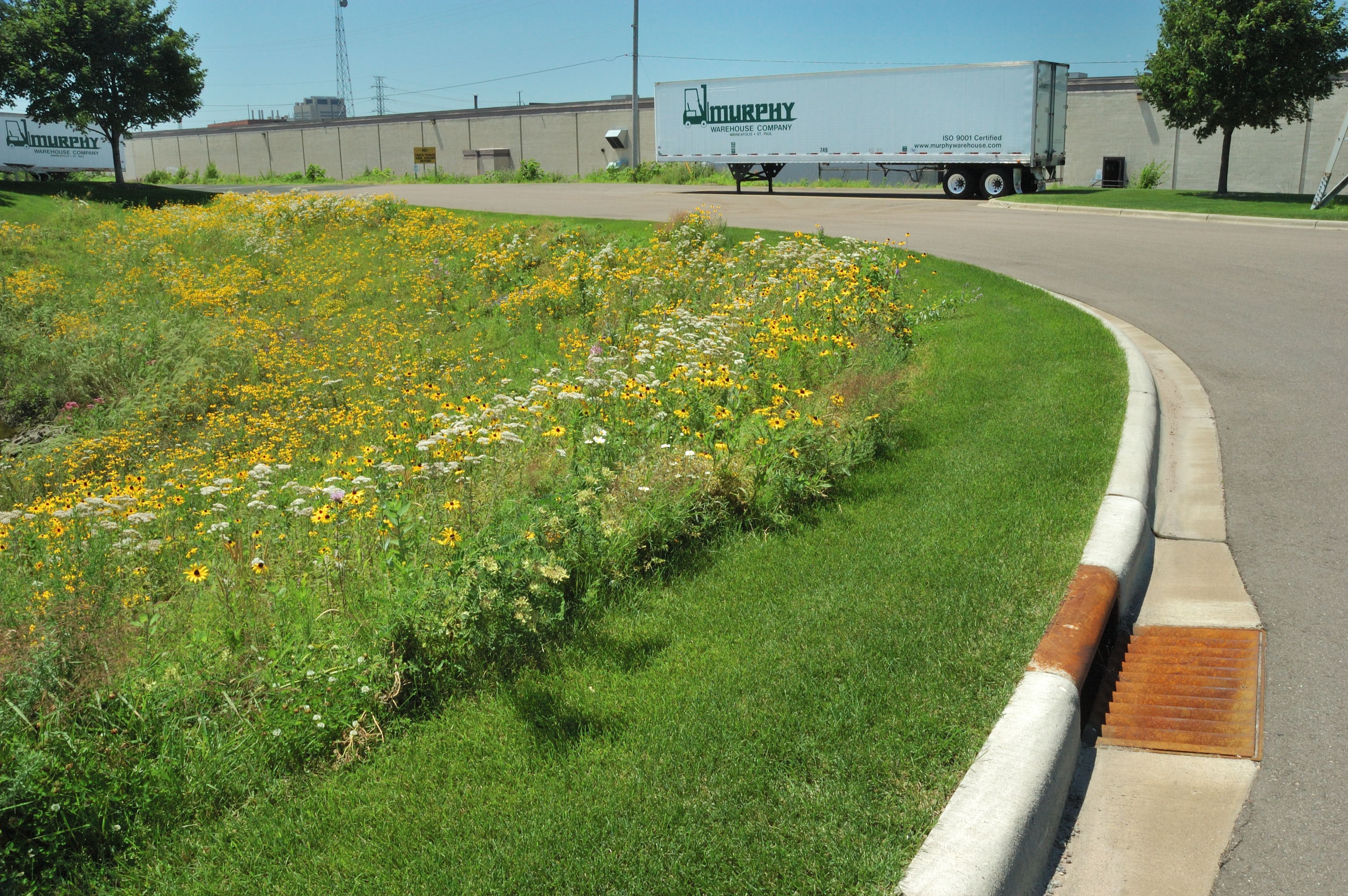 1654812488321 Dsc 0550