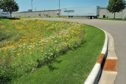 1654812488321 Dsc 0550 1654812488321 Dsc 0550