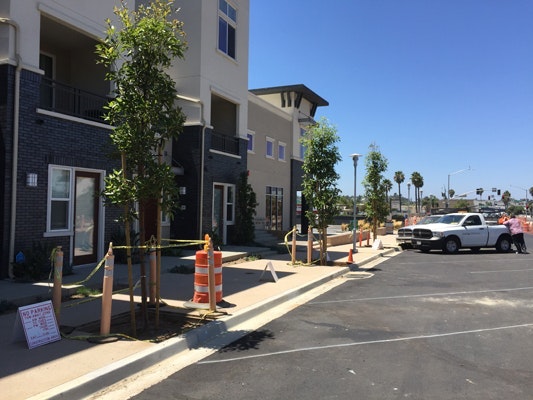 1654812523660 Deeprootlowimpactdevelopment1101317