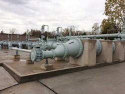 1654812637802 Xylem 1654812637802 Xylem