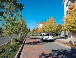 1654812713534 Uni Cb17 1654812713534 Uni Cb17