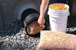 1654812723508 Cleanway Cb17 1 1654812723508 Cleanway Cb17 1