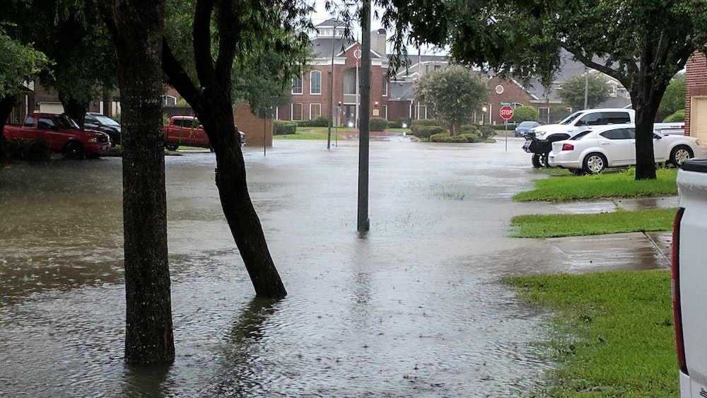 1654812730732 Img 20170827 083905