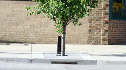 1654812744585-curb_inlet
