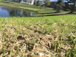 1654812751671 Img 6160 1654812751671 Img 6160