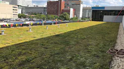 1654812760320-img_1518