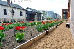 1654812803743 Dsc 5120 1654812803743 Dsc 5120