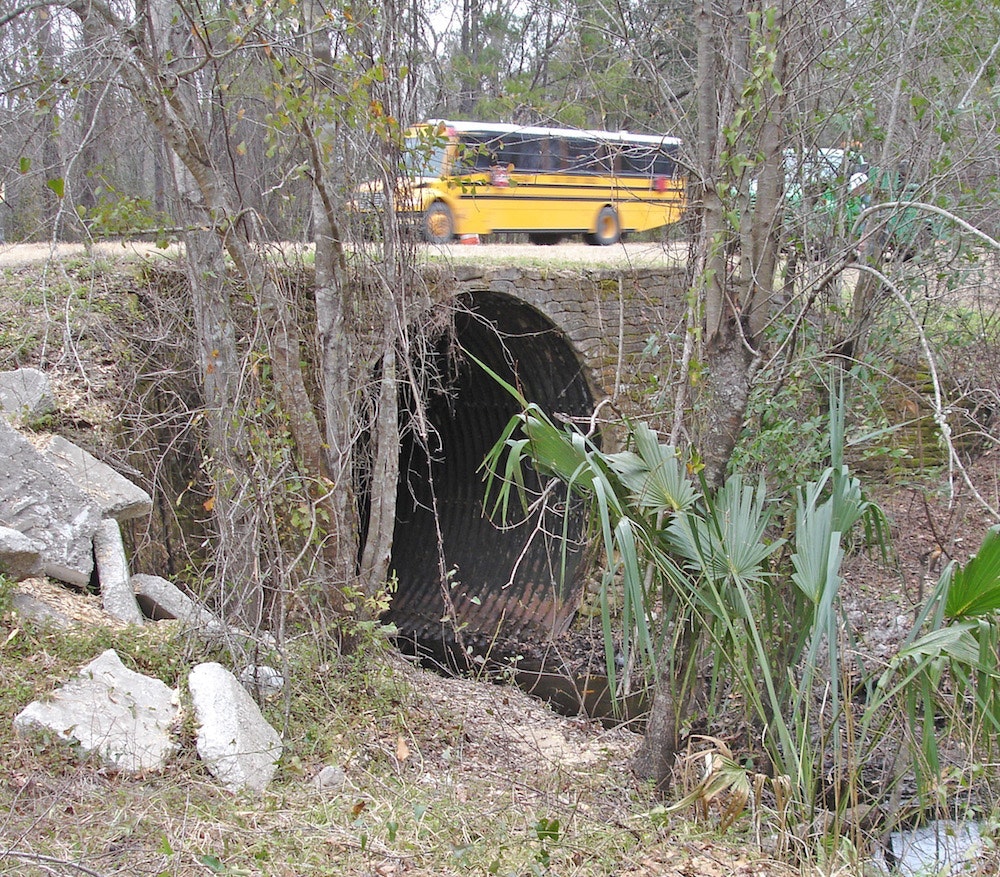 1654812812227 Dsc01099 School Bus On Sr16 1