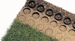 1654812872418-grasscrosssectionhi