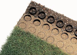 1654812872418 Grasscrosssectionhi 1654812872418 Grasscrosssectionhi