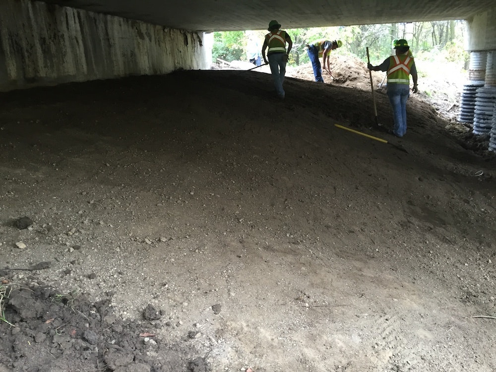 1654812889289 Odot Bridge Before 3