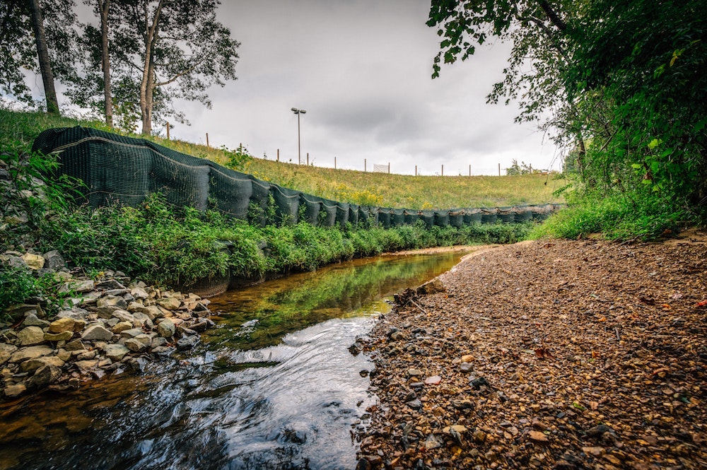 1654812921428-after_vegetation