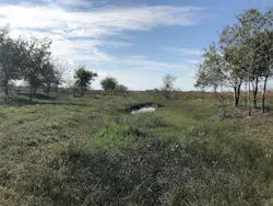 1654812931498 Image 3 1654812931498 Image 3