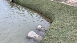 1654812986250-img_0326