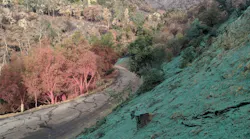 1654812991749-hydroseeding_profileproducts