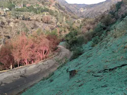 1654812991749 Hydroseeding Profileproducts