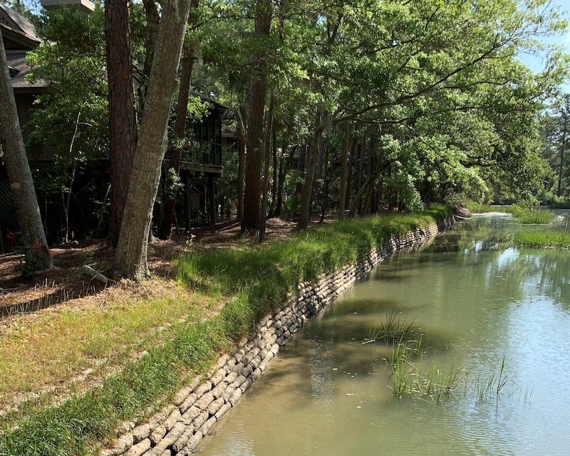 1654813022562-vegetation1