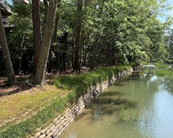 1654813022562 Vegetation1 1654813022562 Vegetation1