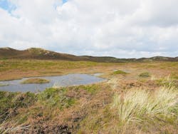 1654813083543 Coastal Dune Lakes 1654813083543 Coastal Dune Lakes