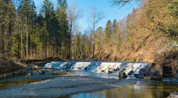 1654813144911-forest4934173_1920_1