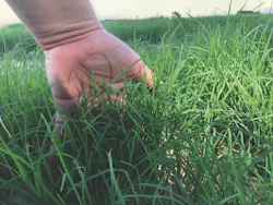 1654813162263 Vegetation