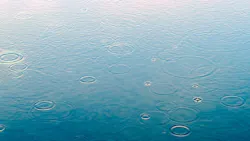 1654813268188 Raindrop 1