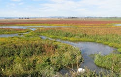 1654813271691 Screen Shot 20200916 At 4 1654813271691 Screen Shot 20200916 At 4