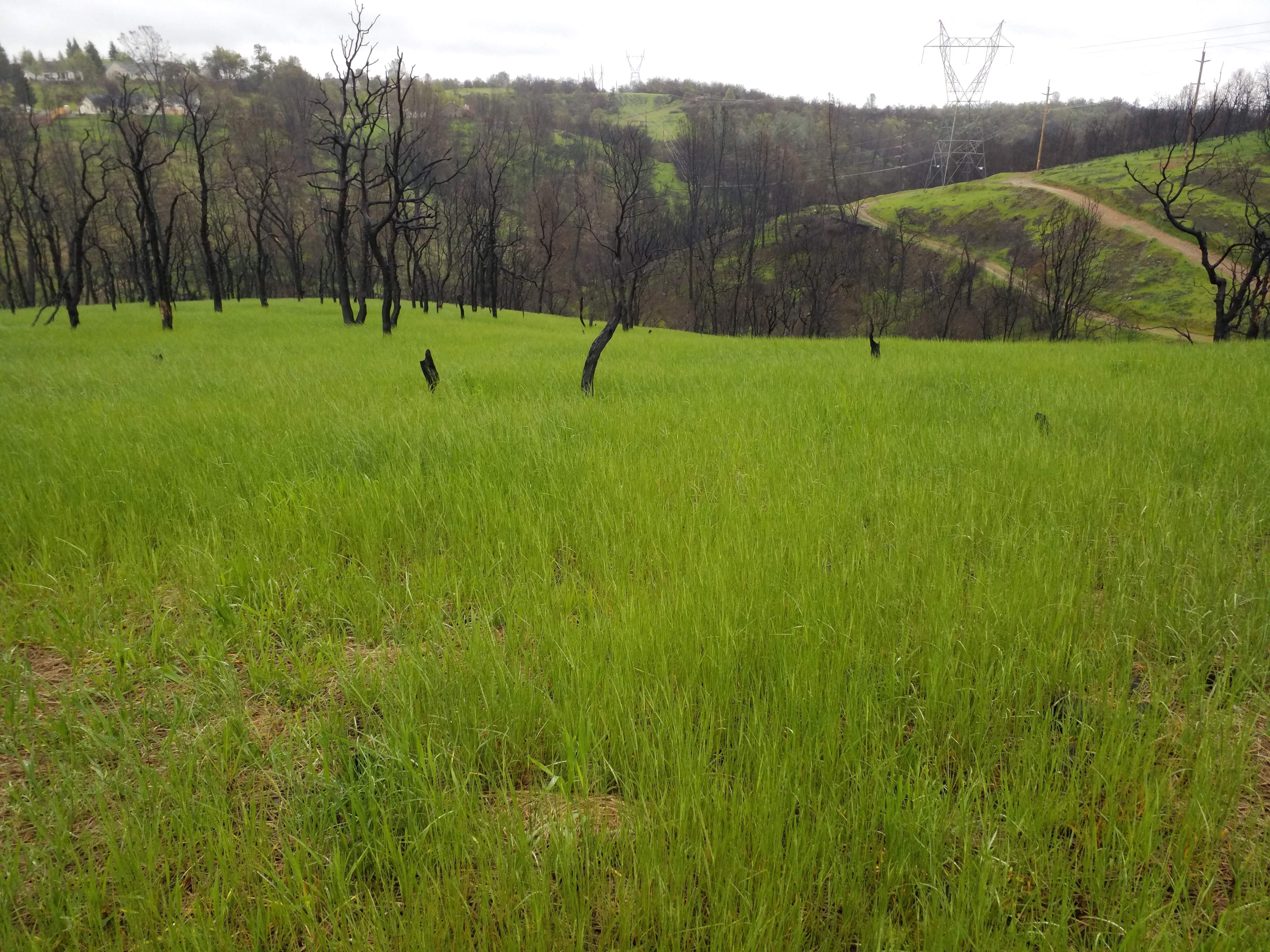 1654813389868 Carter Creek 0