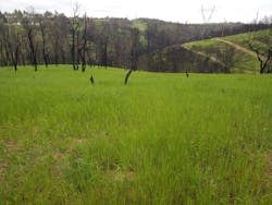 1654813389868 Carter Creek 0 1654813389868 Carter Creek 0