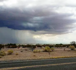 1654813445335 Storm Water Management 0 1654813445335 Storm Water Management 0