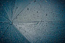 1654813456854 Rain
