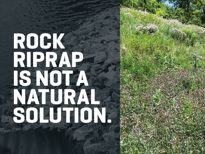 1654813474779-sidebyside