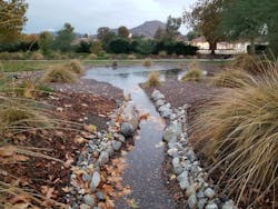 1654813531185 Figure 4 West Infiltration Basin 1654813531185 Figure 4 West Infiltration Basin