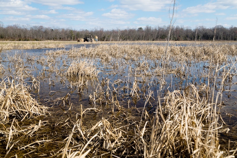 1654813540174 Photo 1