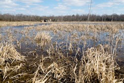 1654813540174 Photo 1 1654813540174 Photo 1