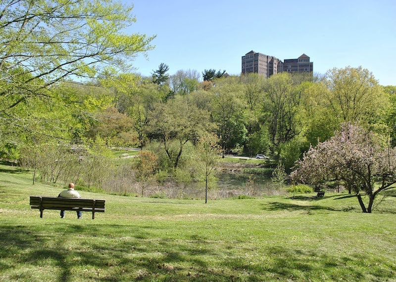 1654813560095-stormwatermin