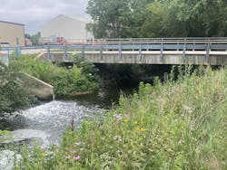 1654813583517 Stormwatervegetation 1654813583517 Stormwatervegetation