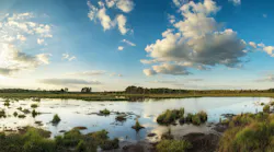 1654813620719-wetlands