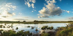 1654813620719 Wetlands 1654813620719 Wetlands