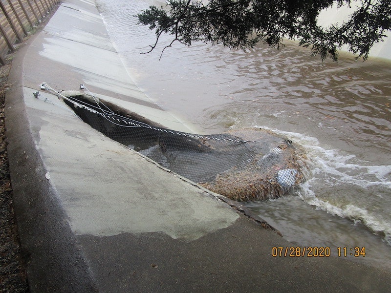 1654813631418-watershed