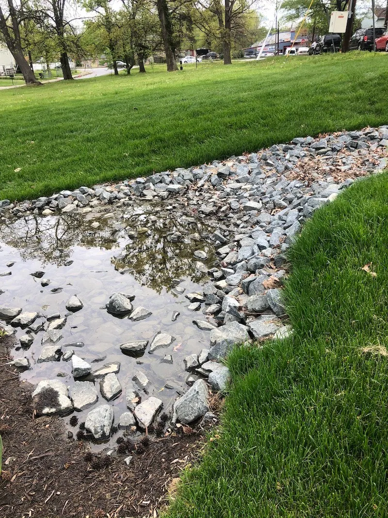 Micro-bioretention Device Helps Infrastructure Improvement Goals ...