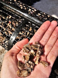 1654813668816 Stormwatermanagement 0 1654813668816 Stormwatermanagement 0