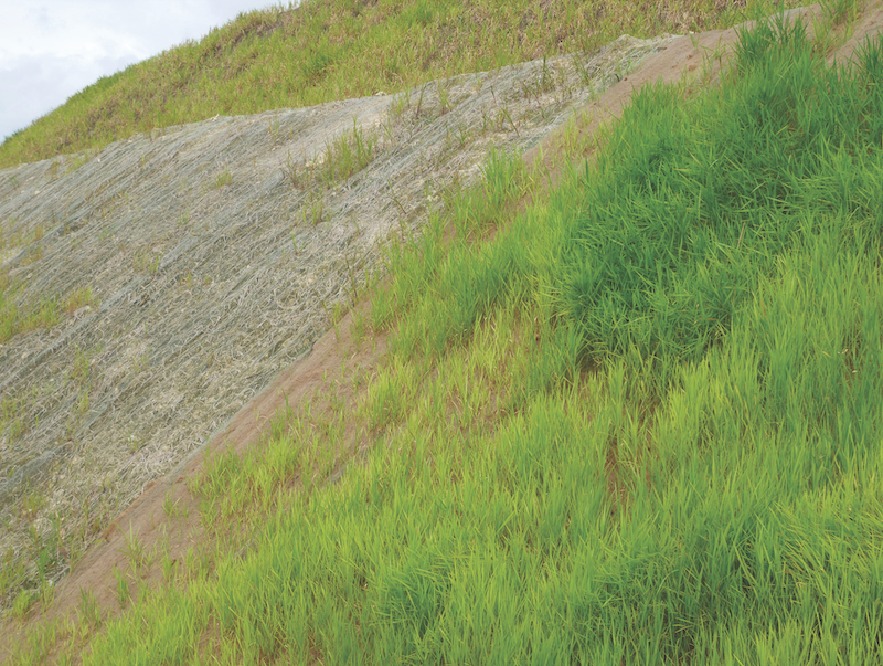 1654813688690-erosioncover