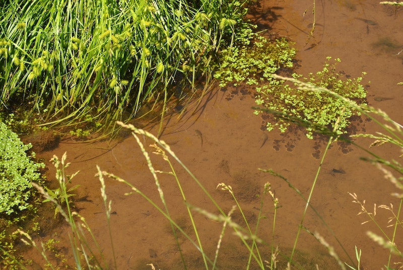 1654813695517-20170620_dsc_0961