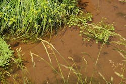 1654813695517 20170620 Dsc 0961 1654813695517 20170620 Dsc 0961