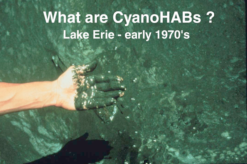 1654813728915-ohio_state_research_photo_used_many_times_by_wayne_1