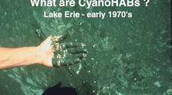 1654813728915-ohio_state_research_photo_used_many_times_by_wayne_1 1654813728915-ohio_state_research_photo_used_many_times_by_wayne_1