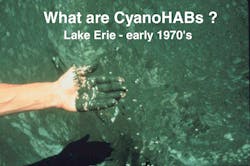 1654813728915 Ohio State Research Photo Used Many Times By Wayne 1 1654813728915 Ohio State Research Photo Used Many Times By Wayne 1